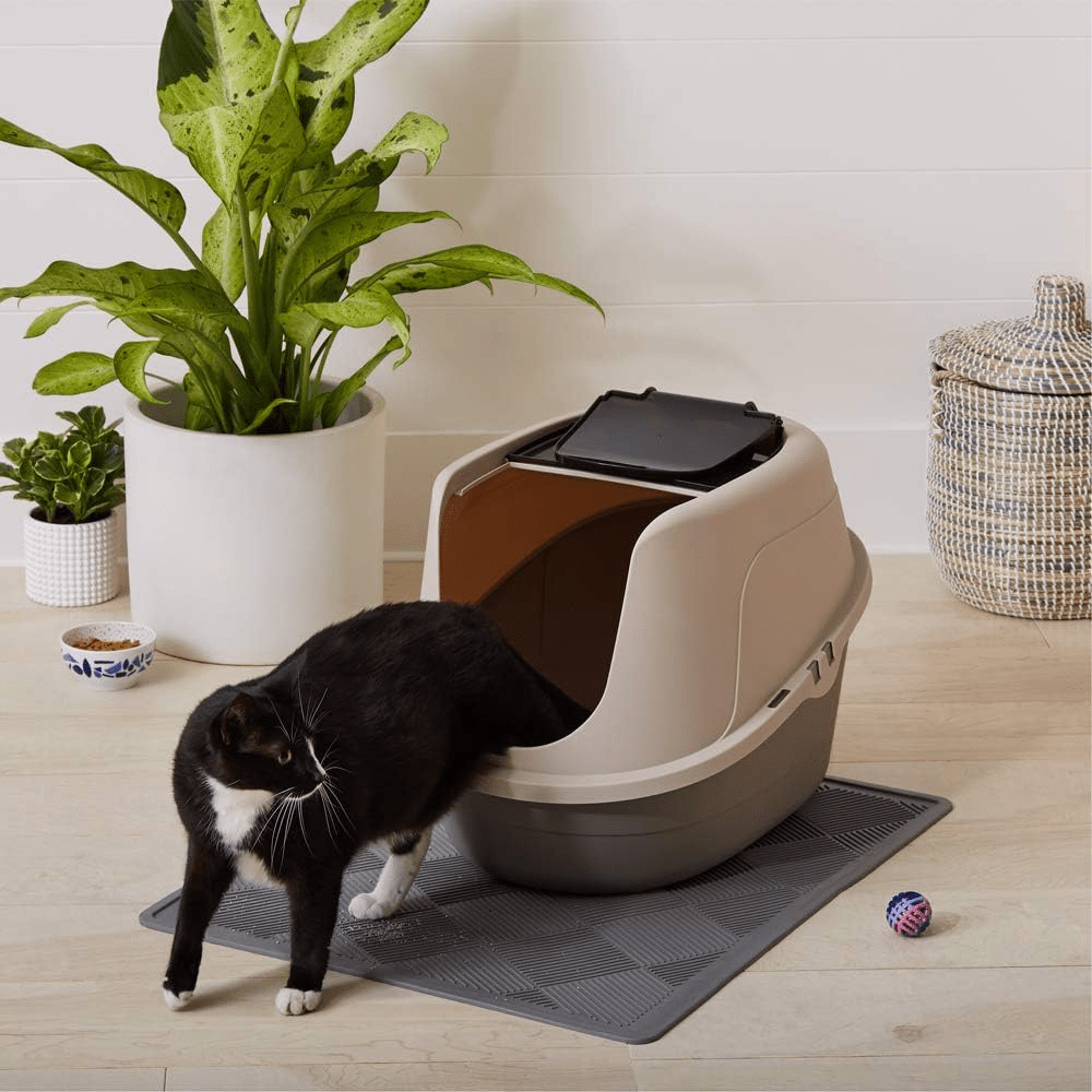 Basics No-Mess Hooded Cat Litter Box, Large, Multicolor, 24 in x 18 in x 17 in